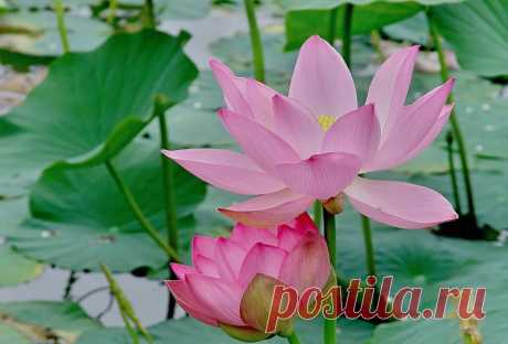 (2) Facebook