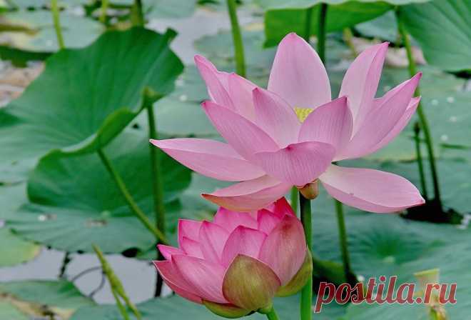 (2) Facebook