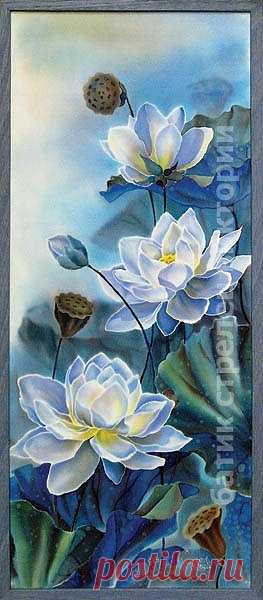 Фотографии Дании Тайсиной | 7 альбомов