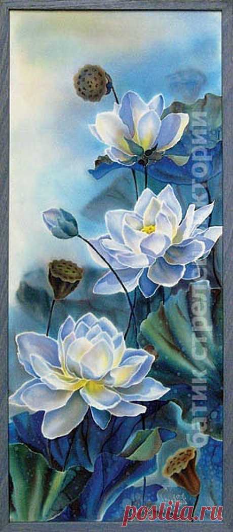 Фотографии Дании Тайсиной | 7 альбомов