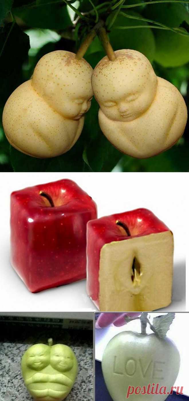 Китайские фруктово-овощные модификации | Блог За городом