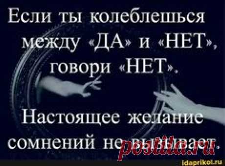 мысль дня