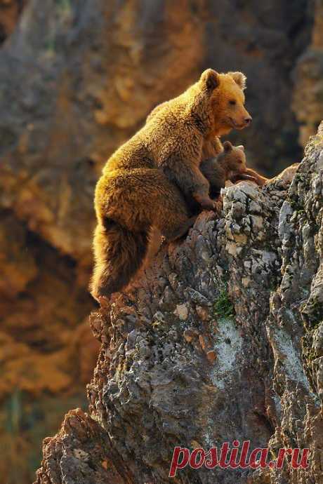 Magical Nature Tour, Learning climbing Rob Janné (via Learning climbing...