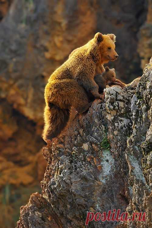 Magical Nature Tour, Learning climbing Rob Janné (via Learning climbing...