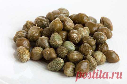 Каперсы: что это и с чем их едят? / Домоседы