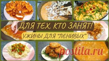 Экономные рецепты. Топ-7 рецептов быстрых и «ленивых» ужинов из куриной грудки. Экономное меню. Идеи экономного меню на семью. | Валентина Барабанова | Дзен