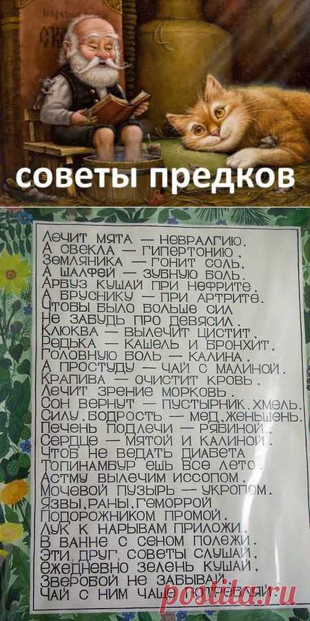 Народные советы от всех болезней