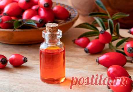 Эфирное масло шиповника - AgroFlora.ru Эссенции, получаемые из растений и их плодов, обладают аналогичными свойствами исходных продуктов, но эффект от них гораздо сильнее. Связано это с высокой