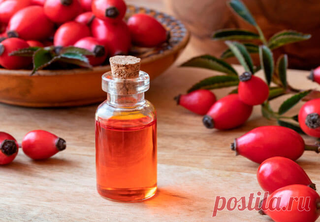 Эфирное масло шиповника - AgroFlora.ru Эссенции, получаемые из растений и их плодов, обладают аналогичными свойствами исходных продуктов, но эффект от них гораздо сильнее. Связано это с высокой