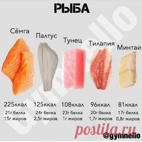 Пoлезные пaмятки для тeх, ктo считaет калоpии
