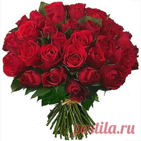 Интересные новости