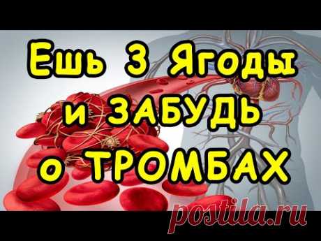 Эти 3 ягоды ПОЗВОЛЯТ НАВСЕГДА ЗАБЫТЬ о ТРОМБАХ и ГУСТОЙ КРОВИ 👍 Это НАДО ЗНАТЬ !