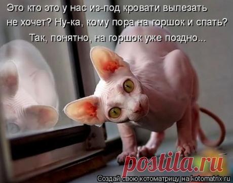 Пора Улыбать!!!!! / Болталка / Юмор