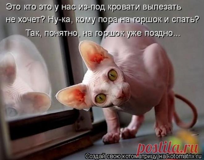 Пора Улыбать!!!!! / Болталка / Юмор