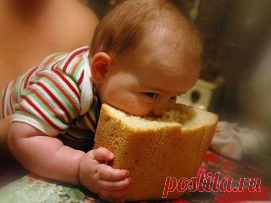 Нет зрелища приятнее на свете, чем с аппетитом лопающие дети