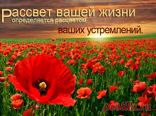 Красивые мотивационные фото и картинки с цитатами » Мотивация. Сайт о мотивации. Мотиваторы