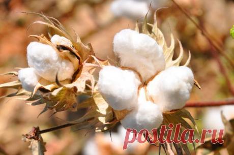 Сергей Кожевников
60 лет, Россия, г.Ликино-Дулево