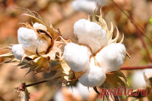 Сергей Кожевников
60 лет, Россия, г.Ликино-Дулево