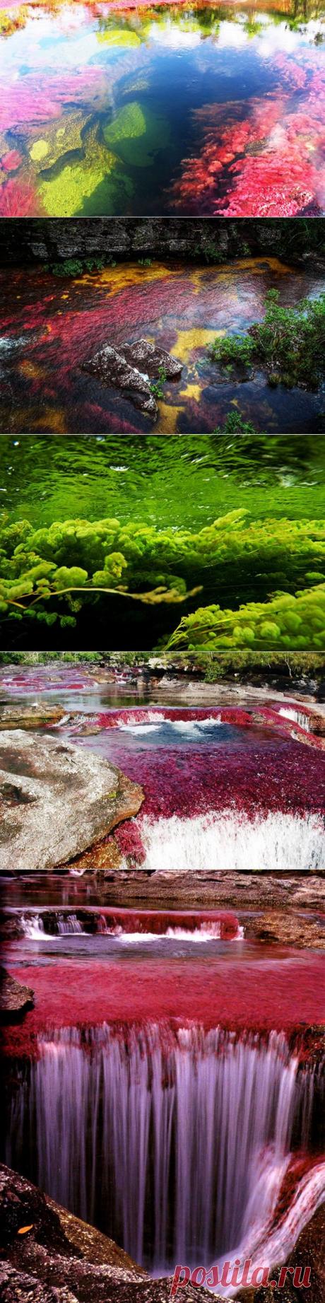 Кристальная река или самая красивая река в мире