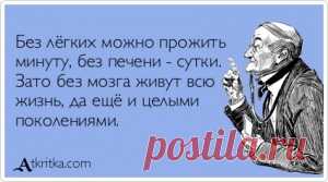 Прикольные открытки - Аткрытка / atkritka.com