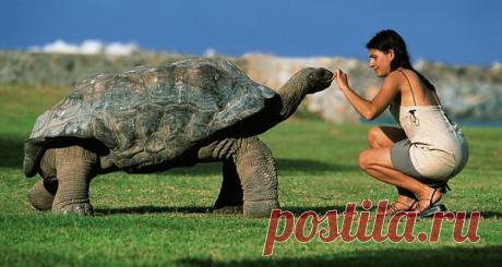 Разговор  двух друзей....