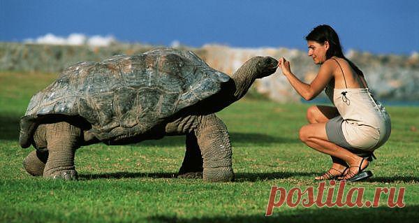 Разговор  двух друзей....