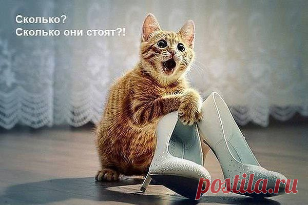 Интересные новости