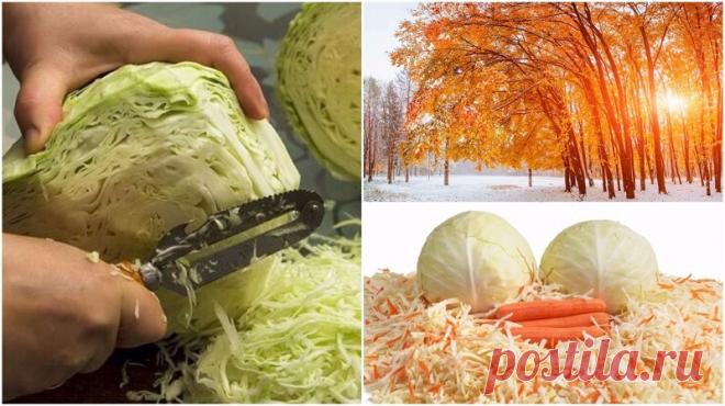 Капуста, которая будет хрустеть всю зиму. Сочная, хрустящая и с приятной кислинкой...