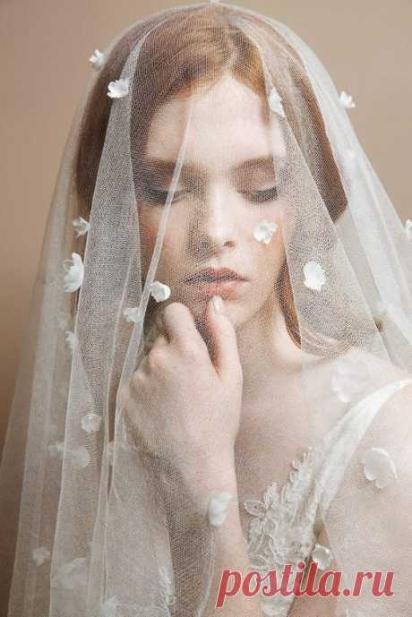 (677) Pinterest