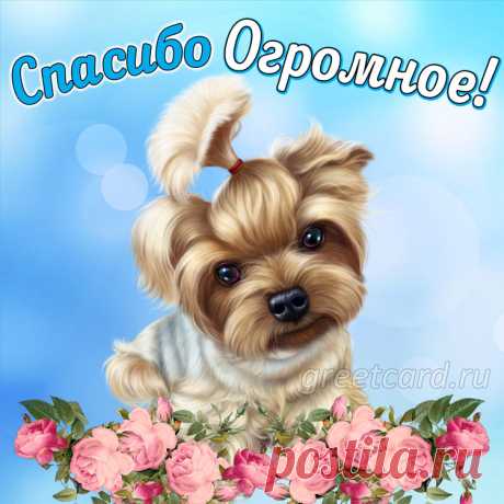 Благодарю за доброту,
Пускай тепло в глазах мерцает,
И манит радость, как мечту,
И все желания исполняет.
