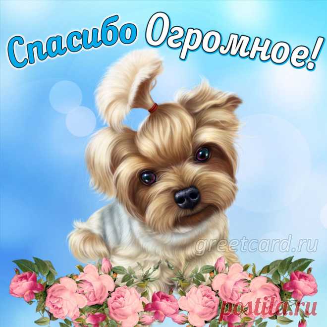 Благодарю за доброту,
Пускай тепло в глазах мерцает,
И манит радость, как мечту,
И все желания исполняет.