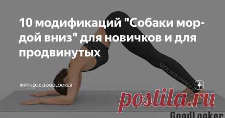 10 модификаций "Собаки мордой вниз" для новичков и для продвинутых Статья автора «Фитнес с GoodLooker» в Дзене ✍: Поза «Собака мордой вниз» – одна из самых известных и универсальных асан в йоге.