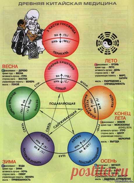 Точки здоровья (китайская медицина).