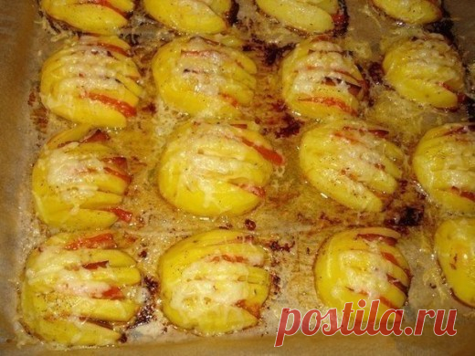 Картофельные ракушки