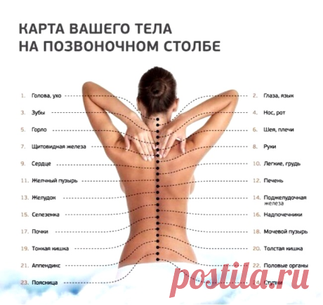 6 золотых правил здоровья кацудзо ниши