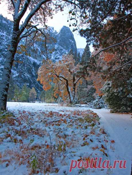 Untitled — visitheworld: Living in Yosemite / USA (by...