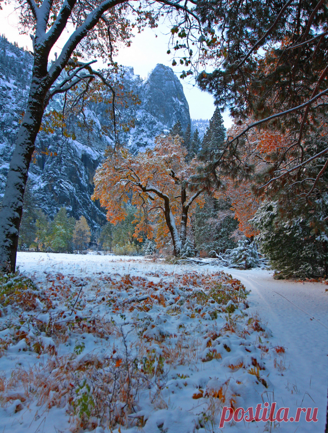 Untitled — visitheworld: Living in Yosemite / USA (by...