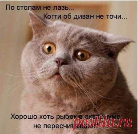 хх