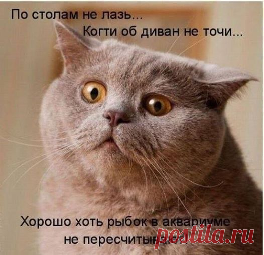 хх