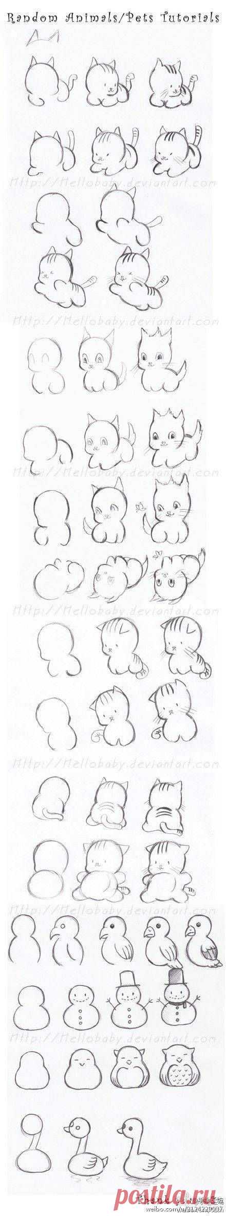(3) como dibujar animales tiernos | Como Aprender A Dibujar Animales