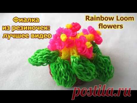 (229) Rainbow Loom flowers. Фиалка из резиночек: лучшее видео - YouTube