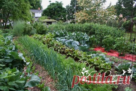 Не доводите почву до нервного срыва!