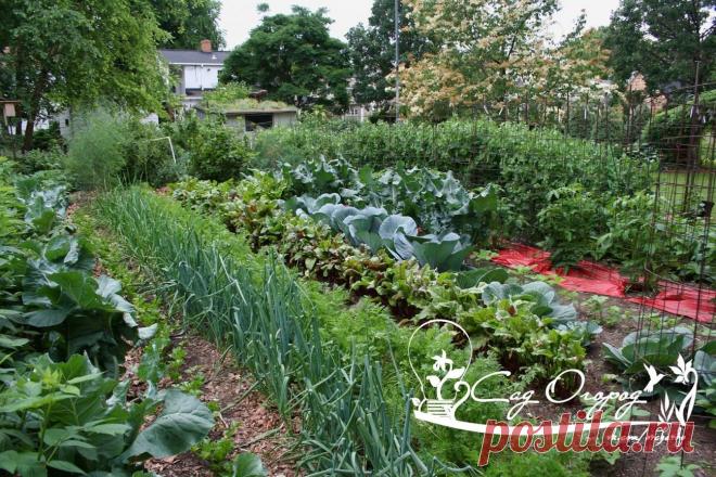 Не доводите почву до нервного срыва!