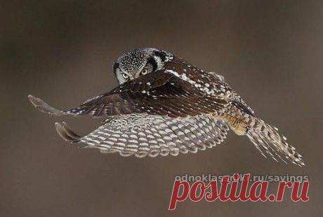 Чем старше и мудрее человек, тем меньше ему хочется выяснять отношения. Хочется просто встать, пожелать всего хорошего и уйти.
© Бернард Шоу