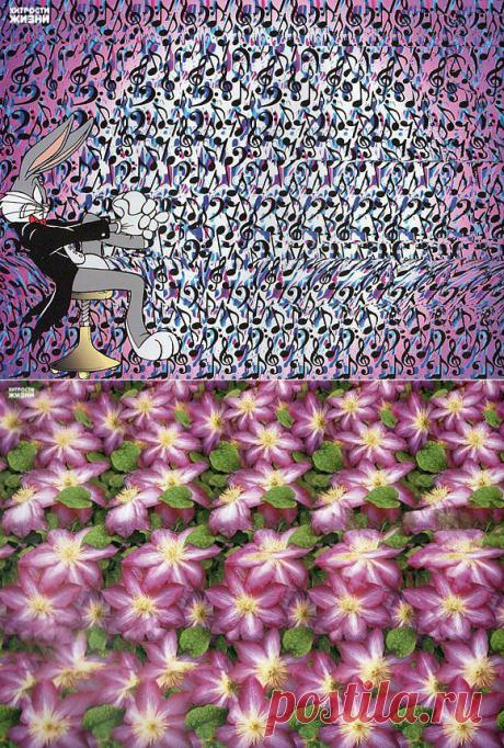 Давайте поиграем, найди то что скрыто на картинке. | Хитрости Жизни