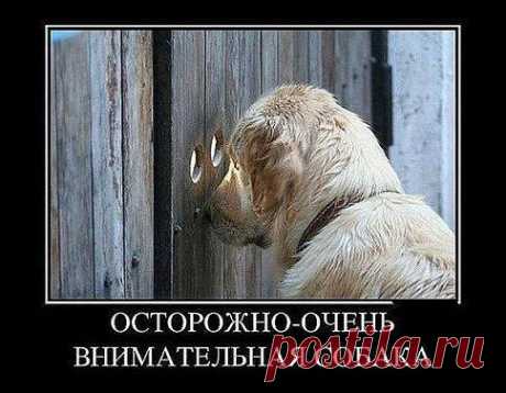 Интересные новости