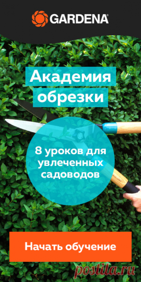 Пряные травы - сорта, выращивание, уход. Польза и противопоказания, рецепты