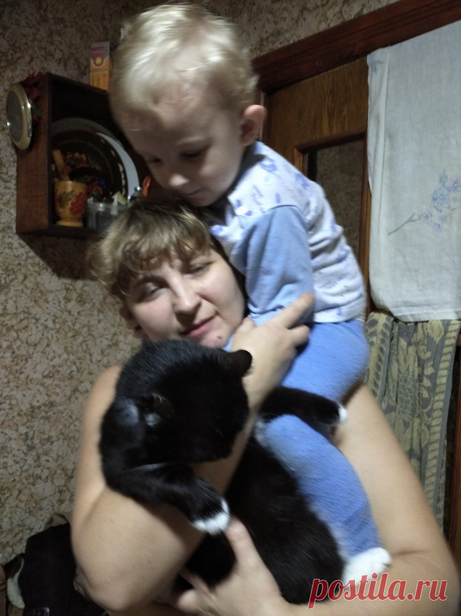 без слов