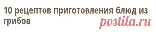 10 рецептов приготовления блюд из грибов | Готовим вместе