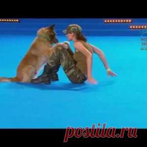 То, что продемонстрировал этот пёс на чемпионате мира для собак, сразило меня наповал!